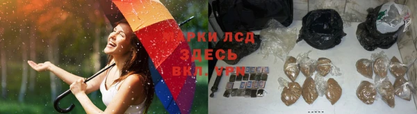 сатива Армянск