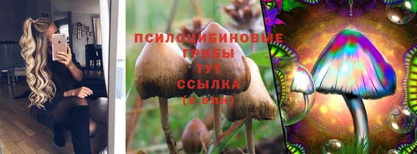 mix Шарыпово