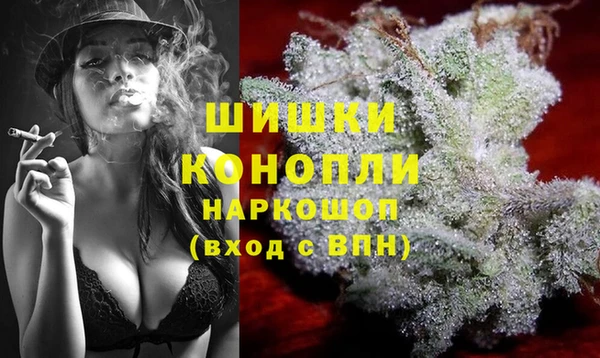 сатива Армянск